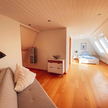 Rheinloft 3 - Grosse Giebelwohnung Mit Dachterrassen An Der Rheinpromenade Emmerich am Rhein Esterno foto